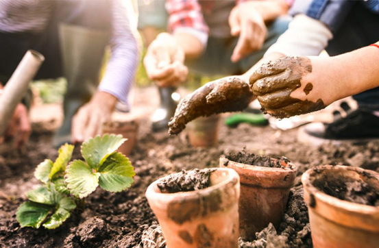 APS conocimiento social